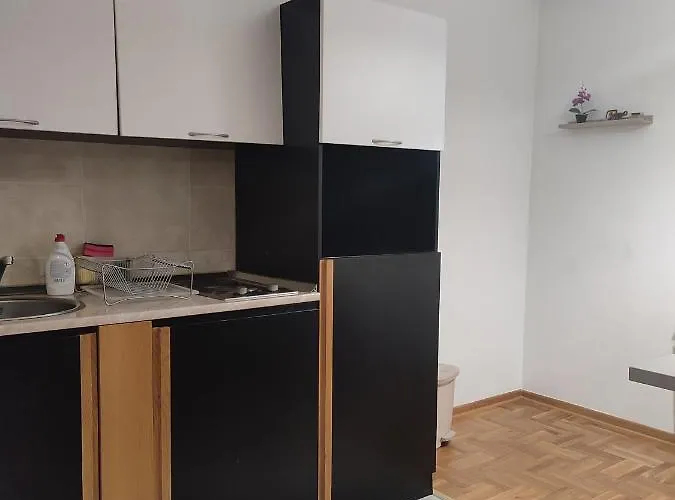 Zlatiborski Konaci-apartman Maletic * 兹拉蒂博尔