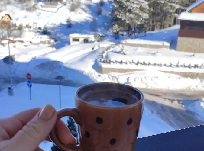 公寓 Zlatiborski Konaci-apartman Maletic *