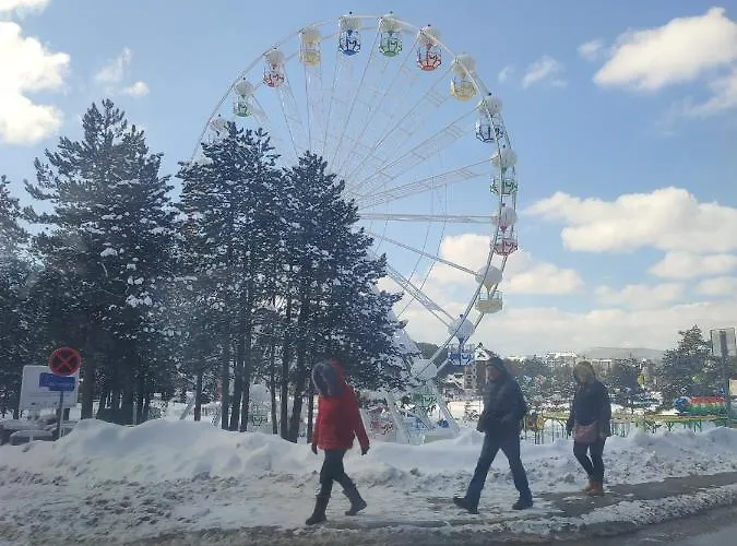 Zlatiborski Konaci-apartman Maletic *