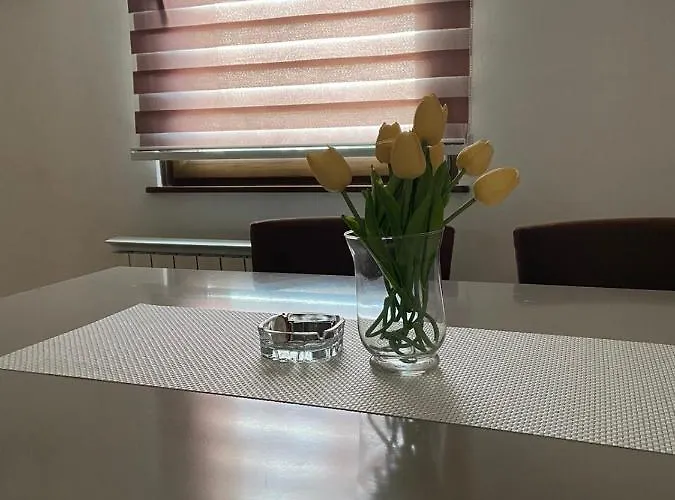 Zlatiborski Konaci-apartman Maletic 公寓 *